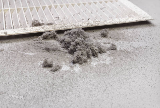 Best Air Duct Cleaning Near Me in FL