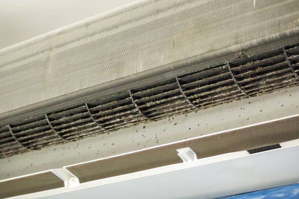 Best Air Duct Cleaning Near Me  in Connerton, FL